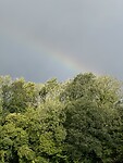 Goedemorgen