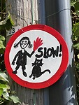 Ook slow voor de poes
