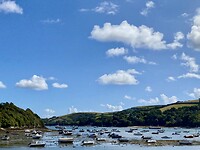 Haven bij Salcombe