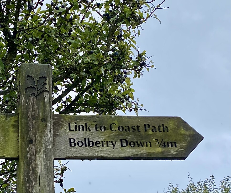 Coast Path