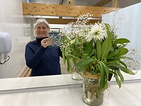 Bloemen in het toilet/douche gebouw