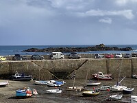 Mousehole haven met HY