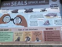 Info over de zeehonden