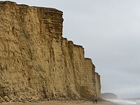 Klif in West Bay