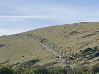 Pad naar Durdle Door