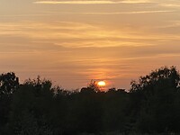 Zonsondergang in New Forest