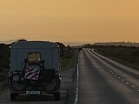 Paard op de weg