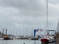 Allemaal masten in de jachthaven