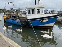 Een enkel vissersbootje in de haven