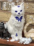 Mooie poes