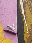 Kleine poes