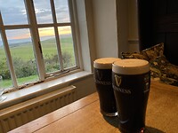 Guinness biertjes