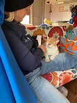 Poes op schoot