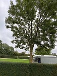 Camping de Visser