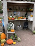 Herfst