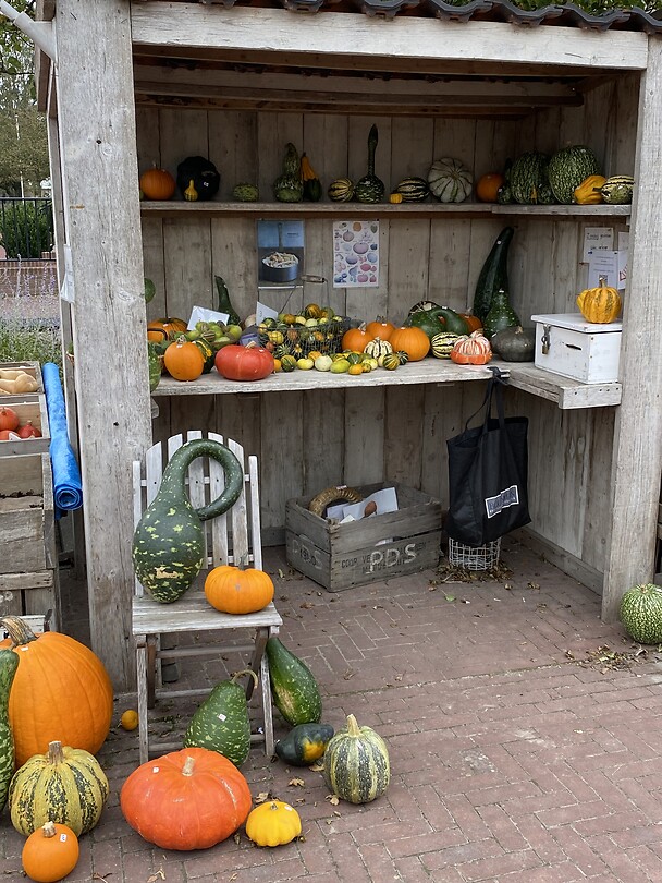 Herfst