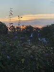 Half 6 in de ochtend