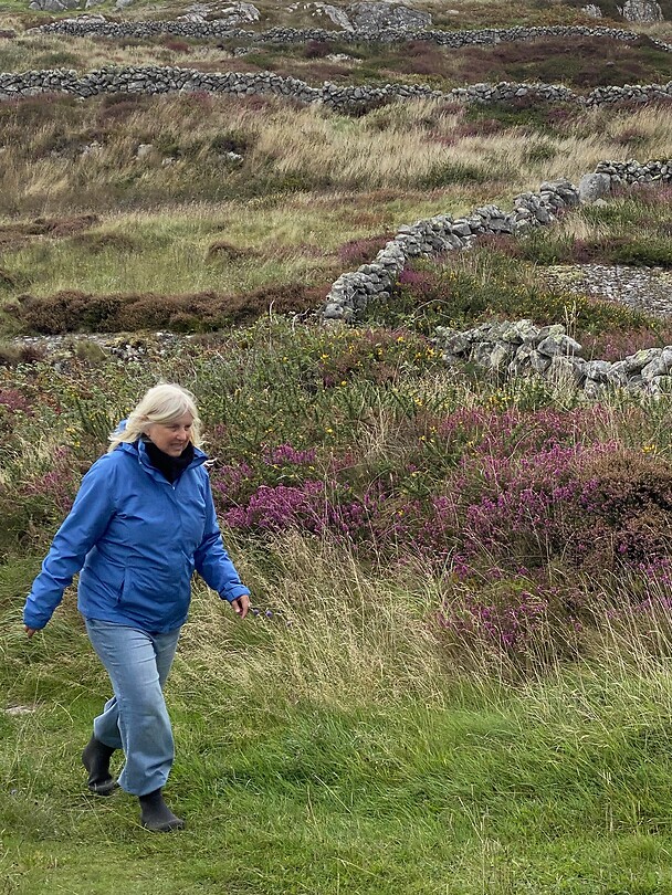 Tussen de heide