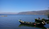 Meer Dali
