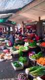 Markt Dali
