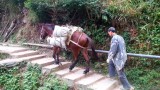 Ping'an