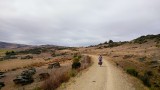 Otago central rail trail (150km)