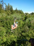 Canopy