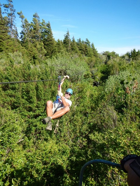 Canopy