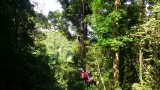 Tarzan swing