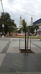 IMG-20221015-WA0007