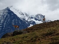 IMG_20230217_103437