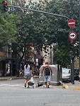 IMG_2589