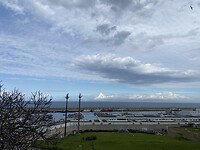 IMG_6673