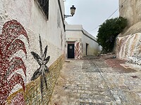 IMG_6699