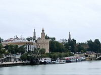 IMG_20250312_141524