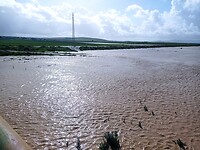 IMG_20250311_103631