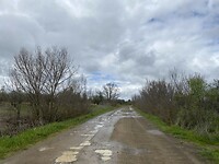 IMG_6786