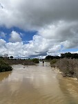 IMG_6790