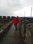 IMG_20250317_174659