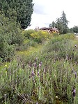IMG_20250316_133603