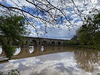 IMG_6810