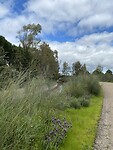 IMG_6818