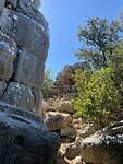 IMG_8154