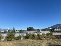 IMG_8136