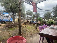 IMG_8126