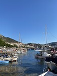 IMG_8181