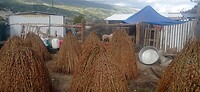 IMG_20251014_161442