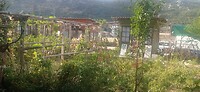 IMG_20251014_155952