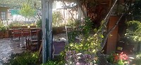 IMG_20251014_155856