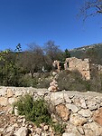 IMG_8249